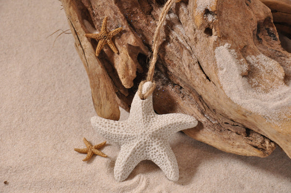 SAND ORNAMENT, CHRISTMAS TREE ORNAMENT, TROPICAL CHRISTMAS DECORATIONS, COASTAL ORNAMENT, SAND ORNAMENT, TROPICAL ORNAMENT, ARENOPHILE, SANTA, CHRISTMAS ORNAMENT, FLORIDA, STARFISH