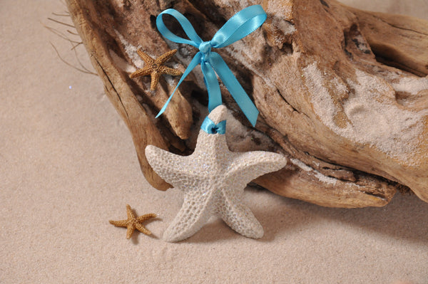 SAND ORNAMENT, CHRISTMAS TREE ORNAMENT, TROPICAL CHRISTMAS DECORATIONS, COASTAL ORNAMENT, SAND ORNAMENT, TROPICAL ORNAMENT, ARENOPHILE, SANTA, CHRISTMAS ORNAMENT, FLORIDA, STARFISH