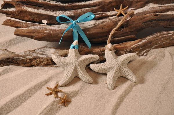 SAND ORNAMENT, CHRISTMAS TREE ORNAMENT, TROPICAL CHRISTMAS DECORATIONS, COASTAL ORNAMENT, SAND ORNAMENT, TROPICAL ORNAMENT, ARENOPHILE, SANTA, CHRISTMAS ORNAMENT, FLORIDA, STARFISH