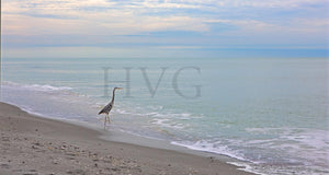 Calm on Captiva Photographic Art Jeanne Schwerkoske