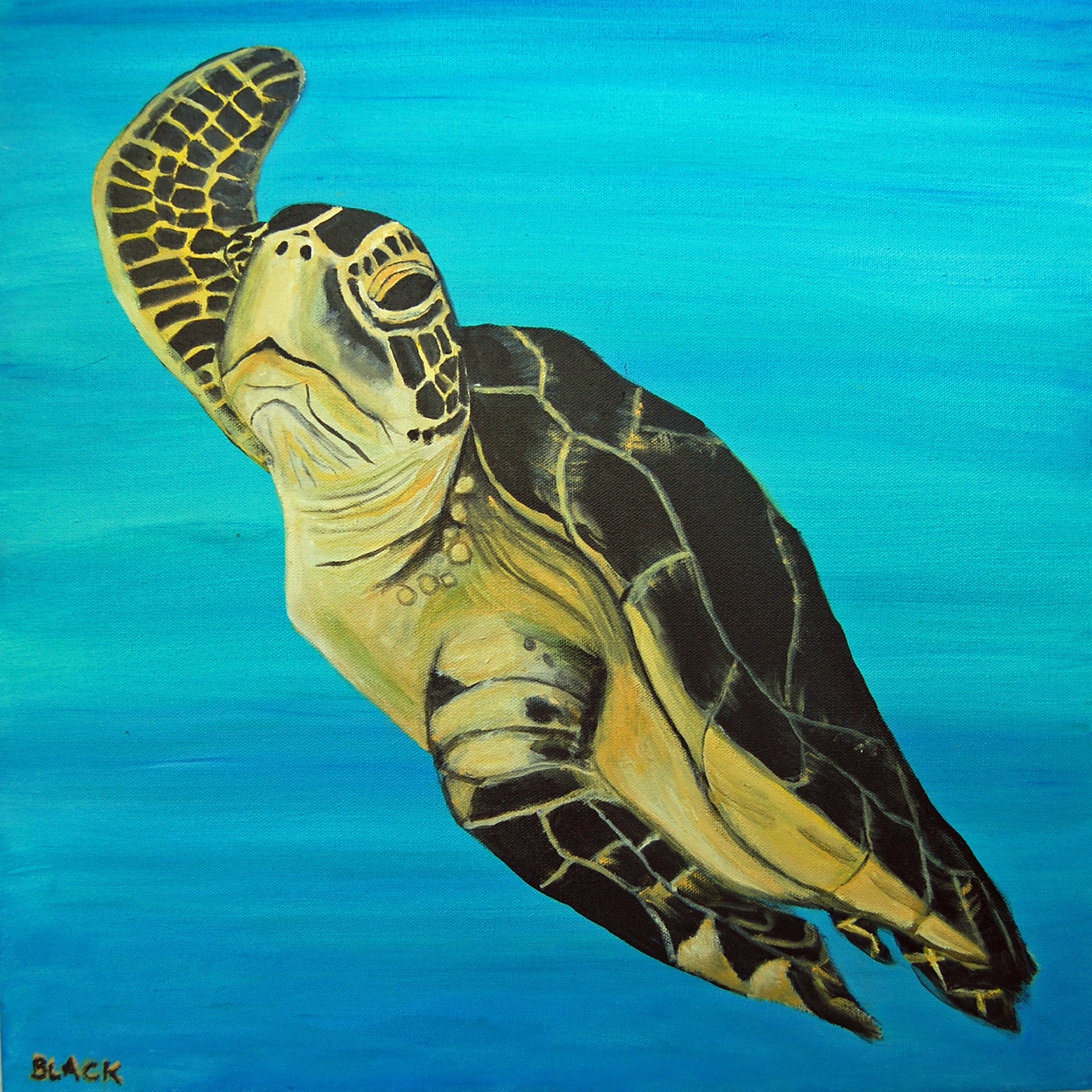 "Happy Sea Turtle" by Laura Black