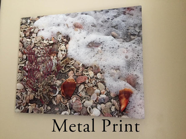 Metal Print Example Photographic Art Jeanne Schwerkoske