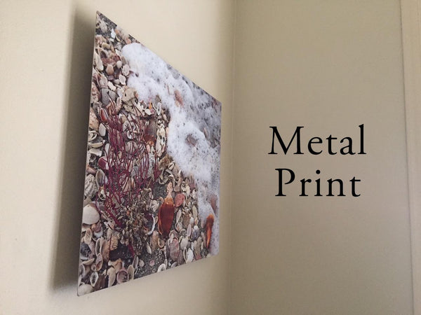 Metal Print Example Photographic Art Jeanne Schwerkoske