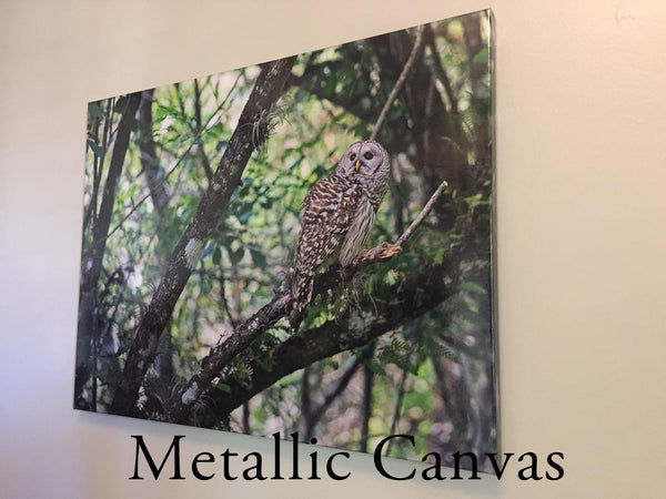 Metallic Canvas Wrap Example Photographic Art Jeanne Schwerkoske