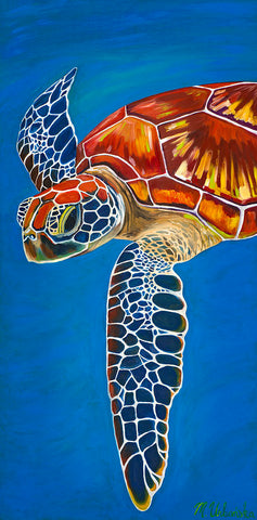 Sea Turtle Closeup by Monika Urbanska